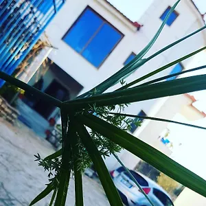 Hotel Lefter